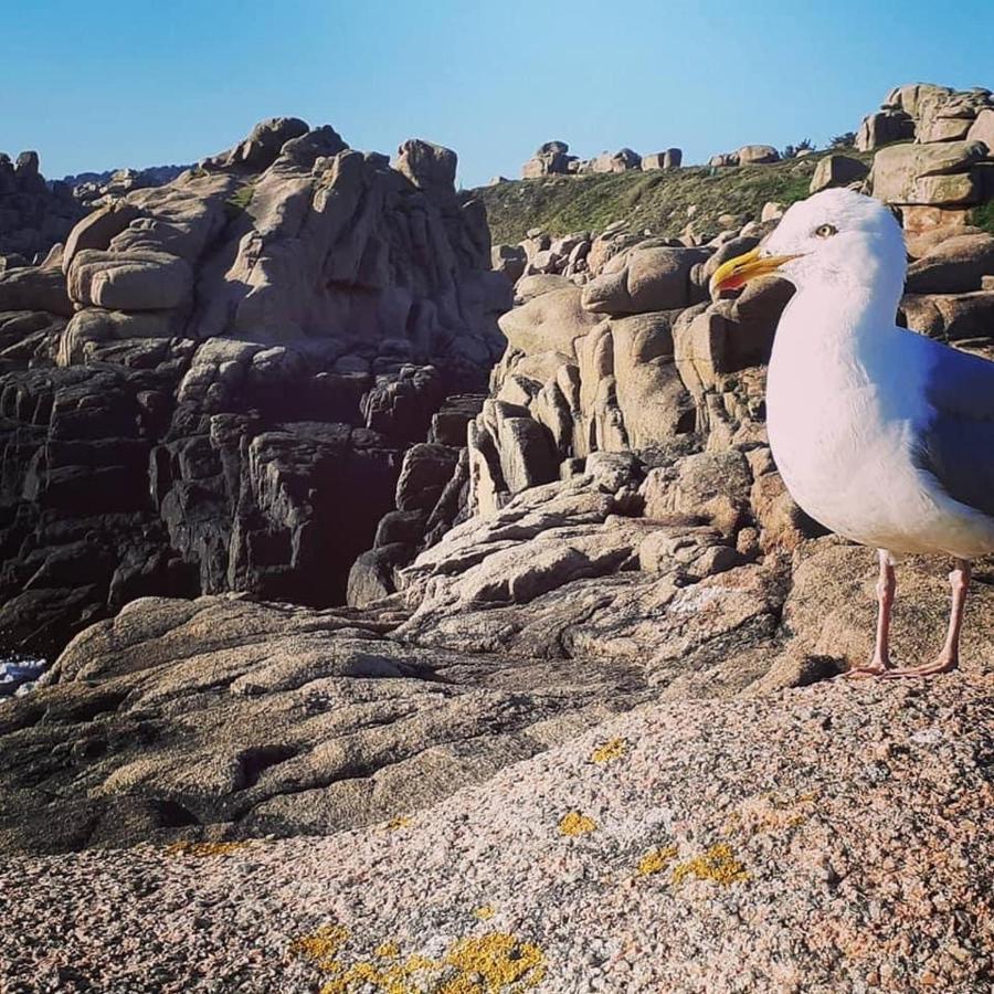 Les Mouettes Amoureuses Villa Louannec Kültér fotó